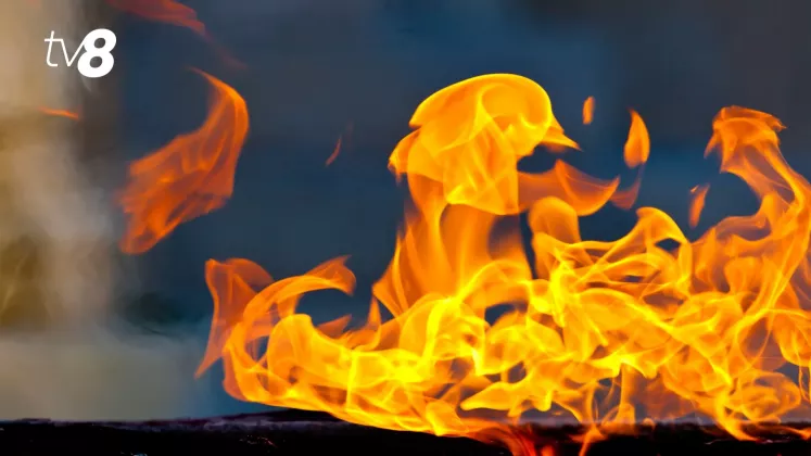 foc