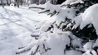 /HARTĂ/ Cum va fi vremea în decembrie 2025: Recordul cu -30ºC și ninsori care se repetă la 20 de ani