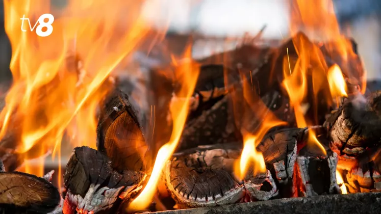 foc (2)