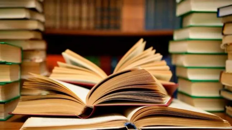 Sabrina (47)