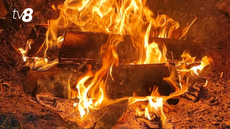 foc (1)