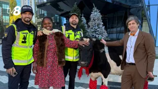 /VIDEO/ Revelion spectaculos la TV8: Urmăriți în seara dintre ani o comedie cum nu ați mai văzut