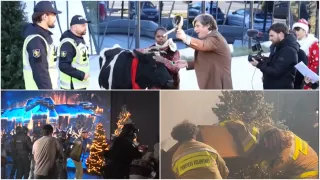 /ВИДЕО/ Безумная новогодняя комедия от TV8: знаменитости в самых неожиданных ролях