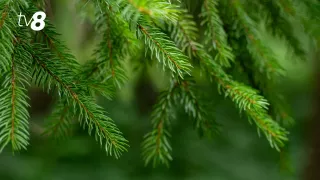 В Кишиневе днем до +2°C. Прогноз погоды на сегодня, 22 января