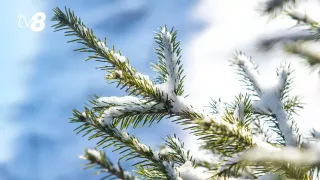 /METEO/ Cum va fi vremea azi, 26 decembrie 2025: Fulgi de zăpadă în toată țara