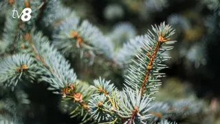 /METEO/ Cum va fi vremea azi, 28 februarie 2026: Zi fără precipitații, iar soarele revine pe cer