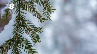 Пришло похолодание. Прогноз погоды на сегодня, 24 декабря