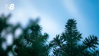 На выходных похолодало. Прогноз погоды на 7 декабря