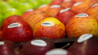 /VIDEO/ Produsele locale, mai vizibile în magazine? Catlabuga: Nu putem închide hotarele