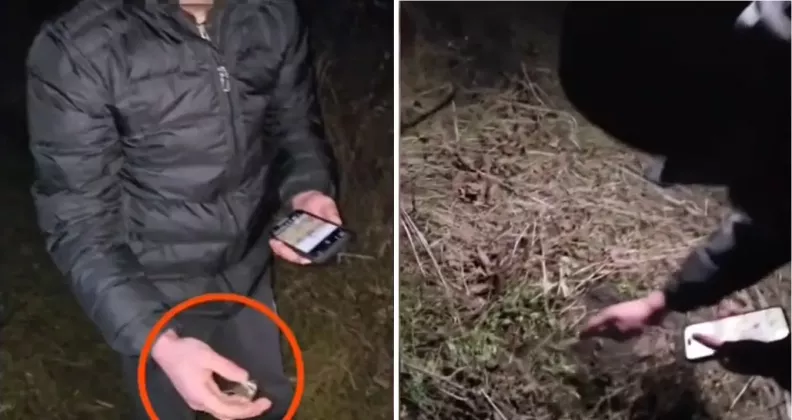 закладчики бельцы