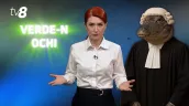/VIDEO/ Verde-n ochi: Cum au ajuns crocodilii justiției să prindă muște. Ecouri după investigația Recorder