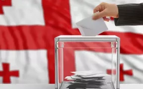 /ВИДЕО/ Грузия запретила голосование на выборах из-за рубежа. Что говорят в правящей партии?