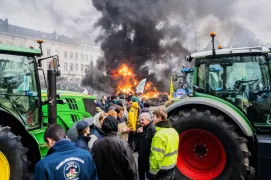/ВИДЕО/ Фермеры ЕС устроили массовые протесты в Брюсселе против соглашения с блоком Меркосур 