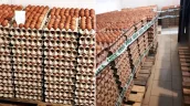 В Молдове запретили к продаже 130 тысяч куриных яиц: партию переработают в биогаз