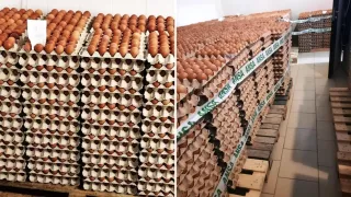 В Молдове запретили к продаже 130 тысяч куриных яиц: партию переработают в биогаз