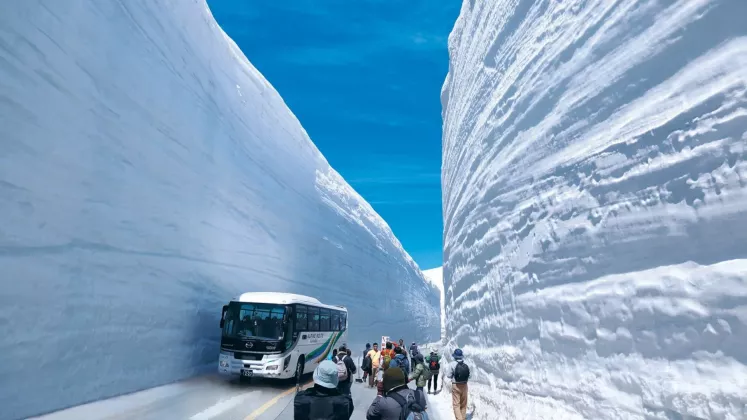 zăpadă japonia