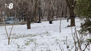 Морозная пятница. Прогноз погоды на сегодня, 16 января