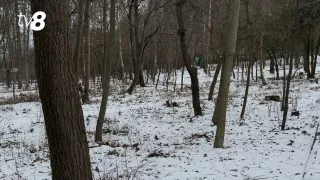 Слабый дождь и мокрый снег. Прогноз погоды на сегодня, 6 января