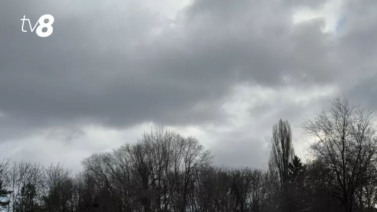 meteo nori 
