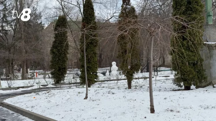 meteo zăpadă iarna (2)