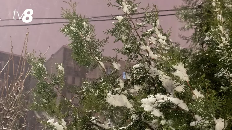 meteo zăpadă iarna