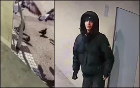 /ВИДЕО/ Пытался повредить камеру, сломал декоративное панно. В Кишиневе задержали вандала (Обновлено)