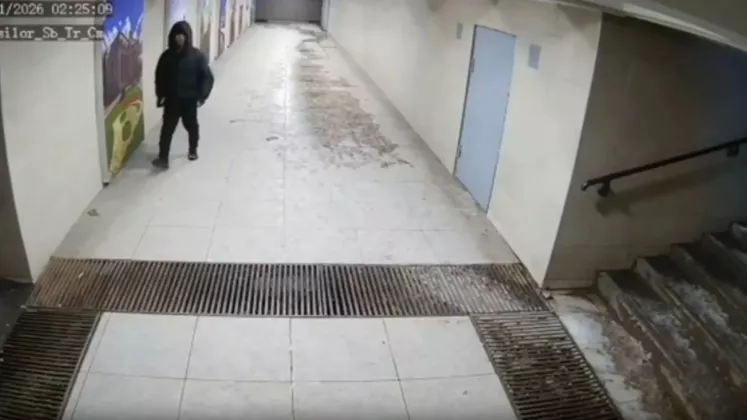 vandalism