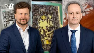 /VIDEO/ Gândaci la un cămin al UTM? Viorel Bostan și Dan Perciun răspund acuzațiilor