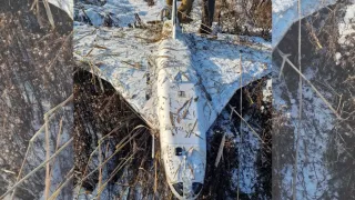 "Гербера": специалисты назвали тип упавшего дрона в Теленешском районе. Что известно об этих БПЛА?