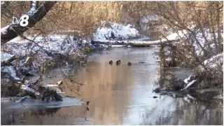 /ВИДЕО/ В Кишинёве берутся за восстановление реки Бык. Большую часть денег возьмут в кредит