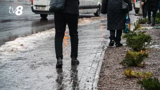 Продолжаем скользить. Прогноз погоды сегодня, 28 января