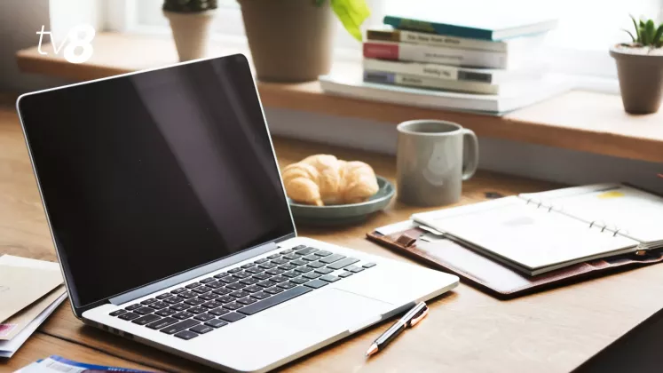 studii online