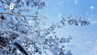 /METEO/ Cum va fi vremea azi, 30 ianuarie 2026: Zi cu ninsori și ghețuș în toată țara
