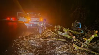 Движение по дорогам осложнено туманом и гололедом, с трасс убирали упавшие ветки: водителей призвали к осторожности