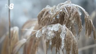 В Молдове ожидается самая холодная ночь зимы: до -22°C на севере