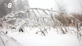 Морозы возвращаются. Прогноз погоды на сегодня, 31 января