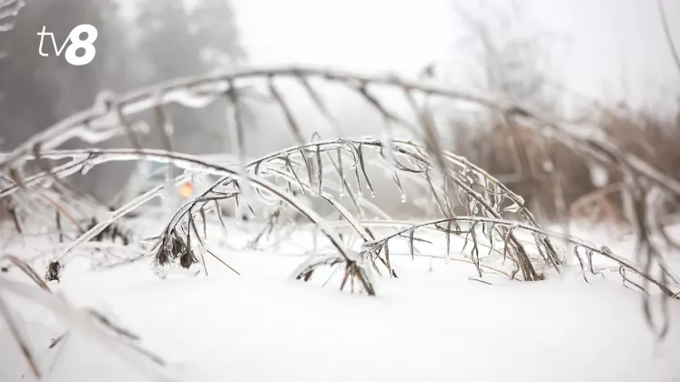 GER METEO IARNA GHEATA CHICIURA (4)