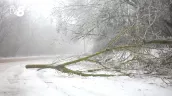 Cum va fi iarna 2026-2027: Prognozele ninsorilor în Europa și schimbări majore din cauza Super El Niño