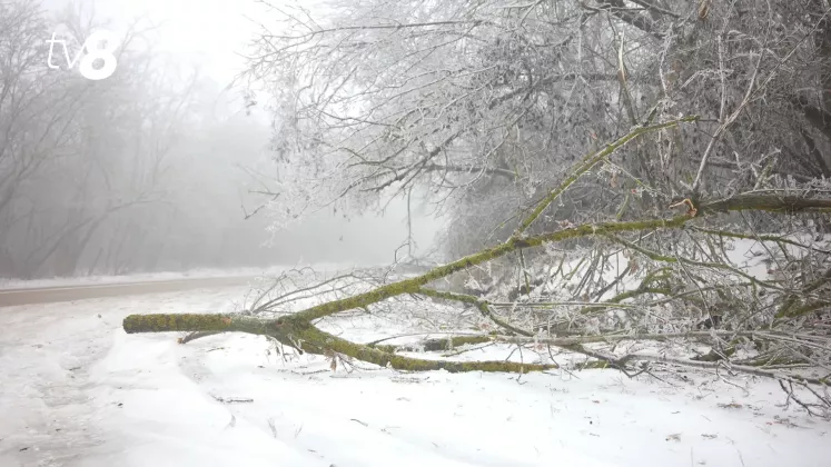 GER METEO IARNA GHEATA CHICIURA (10)