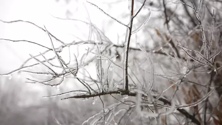 GER METEO IARNA GHEATA CHICIURA (2)