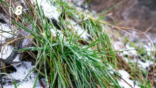 /METEO/ Cum va fi vremea azi, 9 februarie 2026: Fulgi de zăpadă în Chișinău. Prognoza în celelalte regiuni