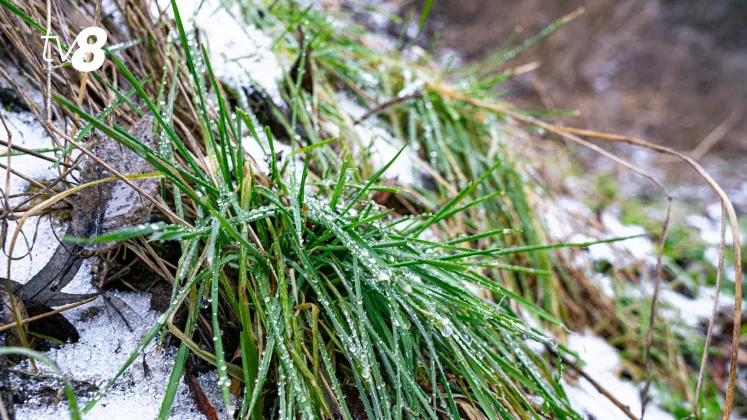 METEO POLEI GHEATA 2-28