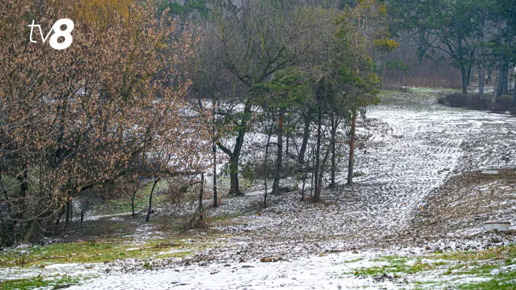 METEO POLEI GHEATA 2-11