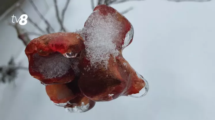 meteo iarna chiciură20