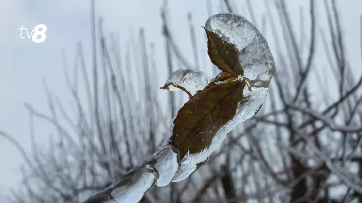 meteo iarna chiciură21