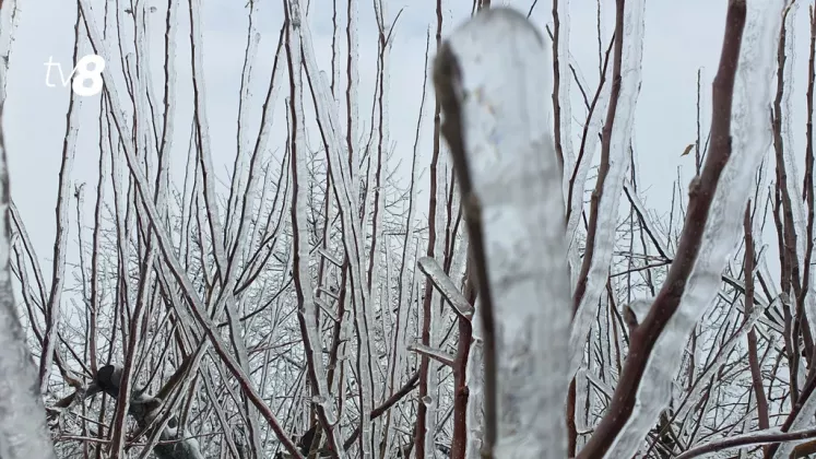 meteo iarna chiciură35