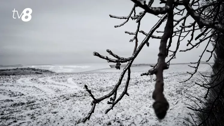 METEO GHEATA INGHET POLEI
