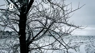 Ninsori puternice în Moldova: Se recomandă munca de la distanță. Cum ar putea învăța elevii