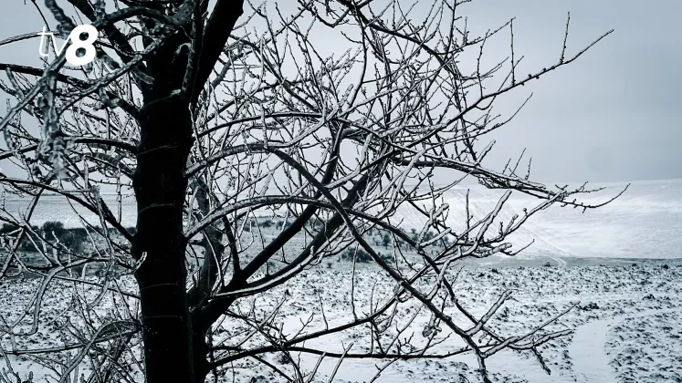 METEO GHEATA INGHET POLEI-4