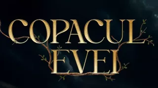 /VIDEO/ „Copacul Evei”, în cinematografe: Cum a fost premiera primului film fantasy din Moldova